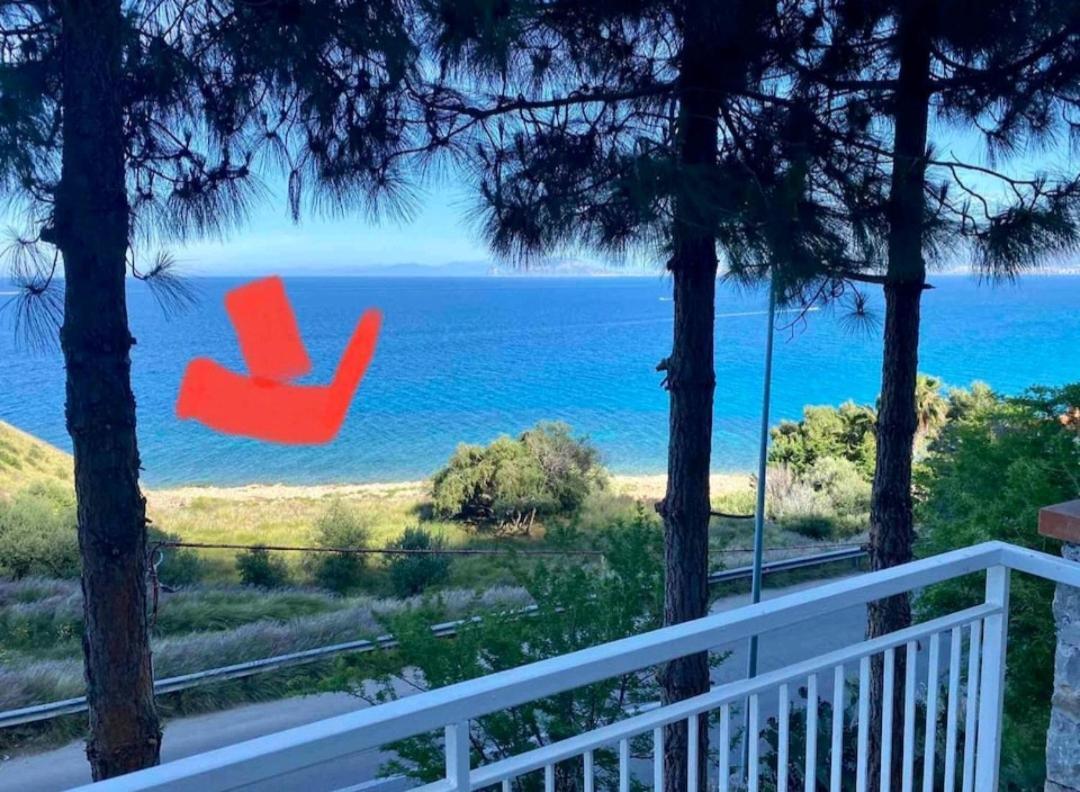 Villa'S Apartment On The Beach, Swimming Pool A/C Palermo Buitenkant foto